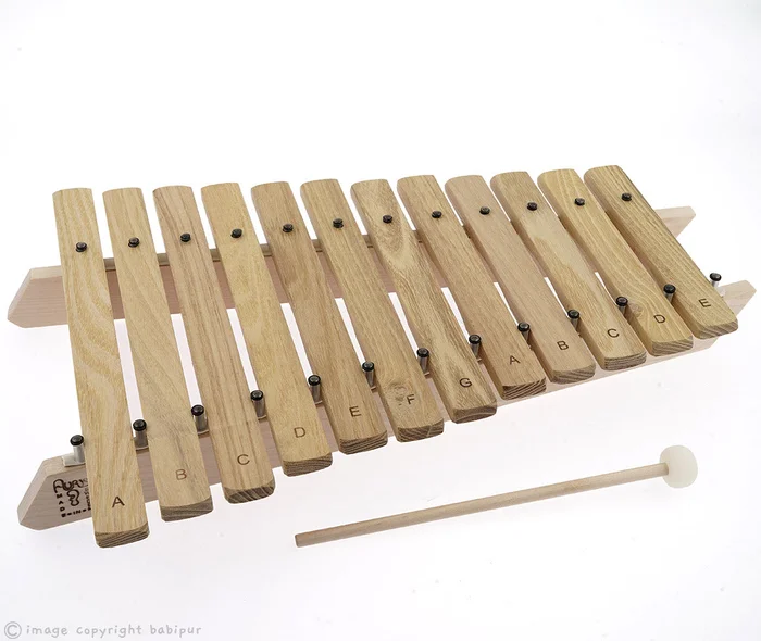 Auris Diatonic Xylophone – 12 Note