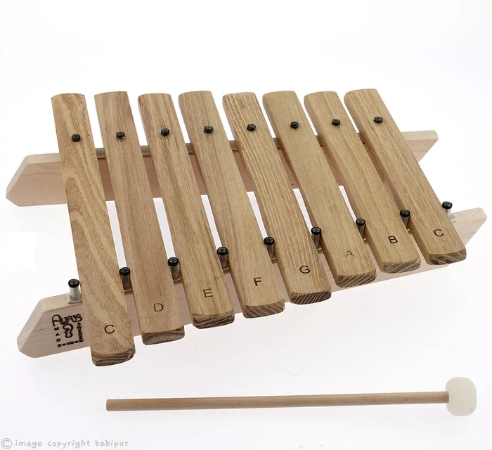 Auris Diatonic Xylophone – 8 Note