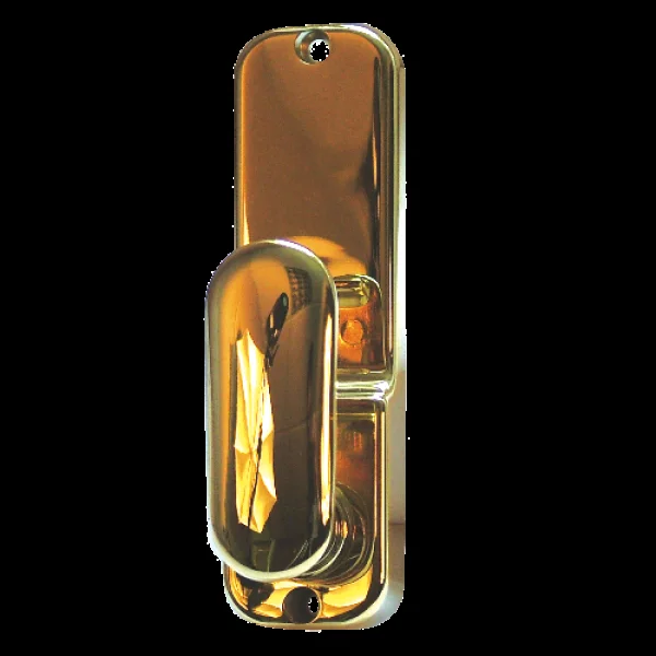 CODELOCKS CL200 Series Back Plate To Suit 2255 B255 – Polished Brass