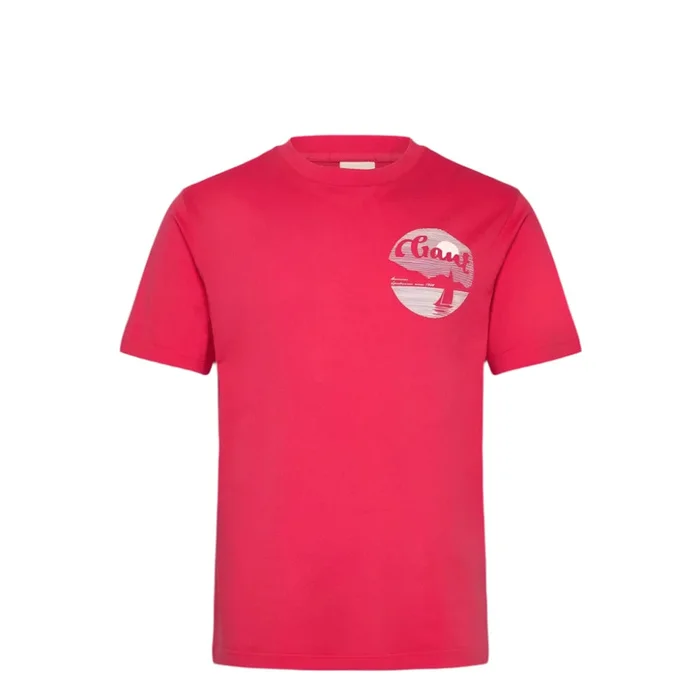GANT Graphic T-shirt In Watermelon Red
