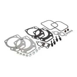 Gasket Set-Valve for Briggs & Stratton 1616H, 1618H Engines – 841191