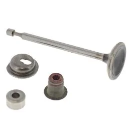 Intake Valve for Briggs & Stratton 9P702-0046-F1 550 Series Engine – OEM No. 590530