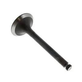 Intake Valve for Kubota ARX2500 Generator – OEM No. E3131 13112