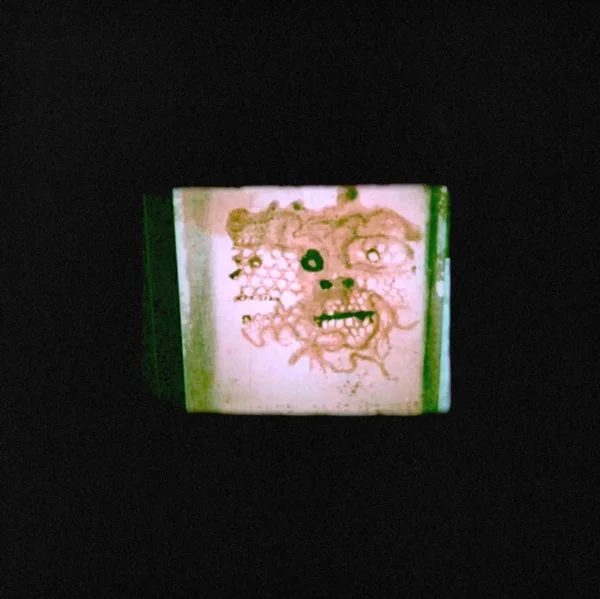 Orrick Chris & The Lasso LP – I Read That I Was Dead