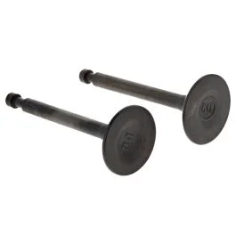 Valve Kit for Loncin G160F 20mm A Shaft, G160F B Shaft Engine – 500550129-0001